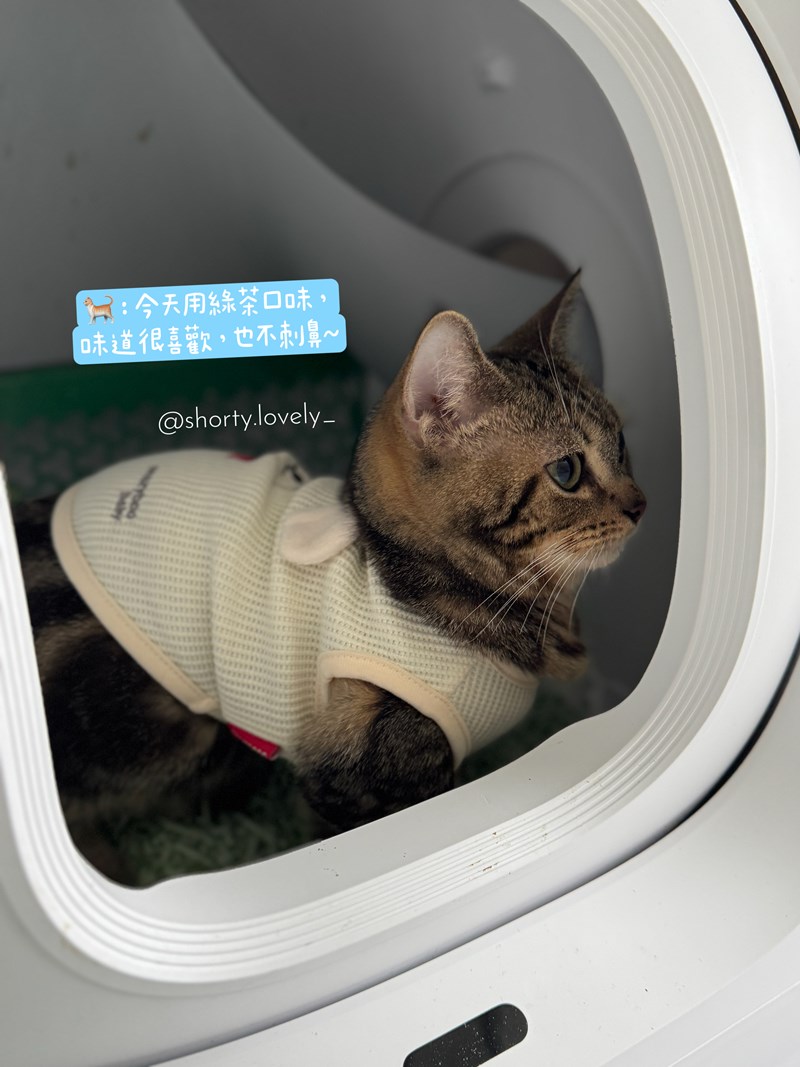 女人知己試用大隊,口碑行銷,部落客行銷,PurreLand 倍淨豆腐貓砂,好市多購買,COSTCO購買,豆腐貓砂,PurreLand倍淨,低粉塵,易清理,可沖馬桶,提供絕佳的除臭與凝結力,豆腐貓砂評價,貓砂評價,使用心得,貓砂分享,好用,原味,綠茶,豆腐砂,水量需完全覆蓋貓砂,水量需貓砂的2~3倍以上,豆腐砂評價,高CP值,划算